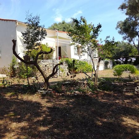 Bonifacio, Maison 90M² Sous Les Oliviers, Vue Sardaigne Bonifacio  Esterno foto