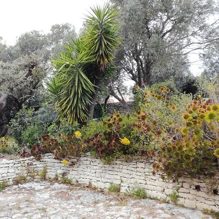 Bonifacio, Maison 90M² Sous Les Oliviers, Vue Sardaigne Bonifacio  Esterno foto