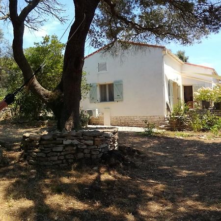 Bonifacio, Maison 90M² Sous Les Oliviers, Vue Sardaigne Bonifacio  Esterno foto