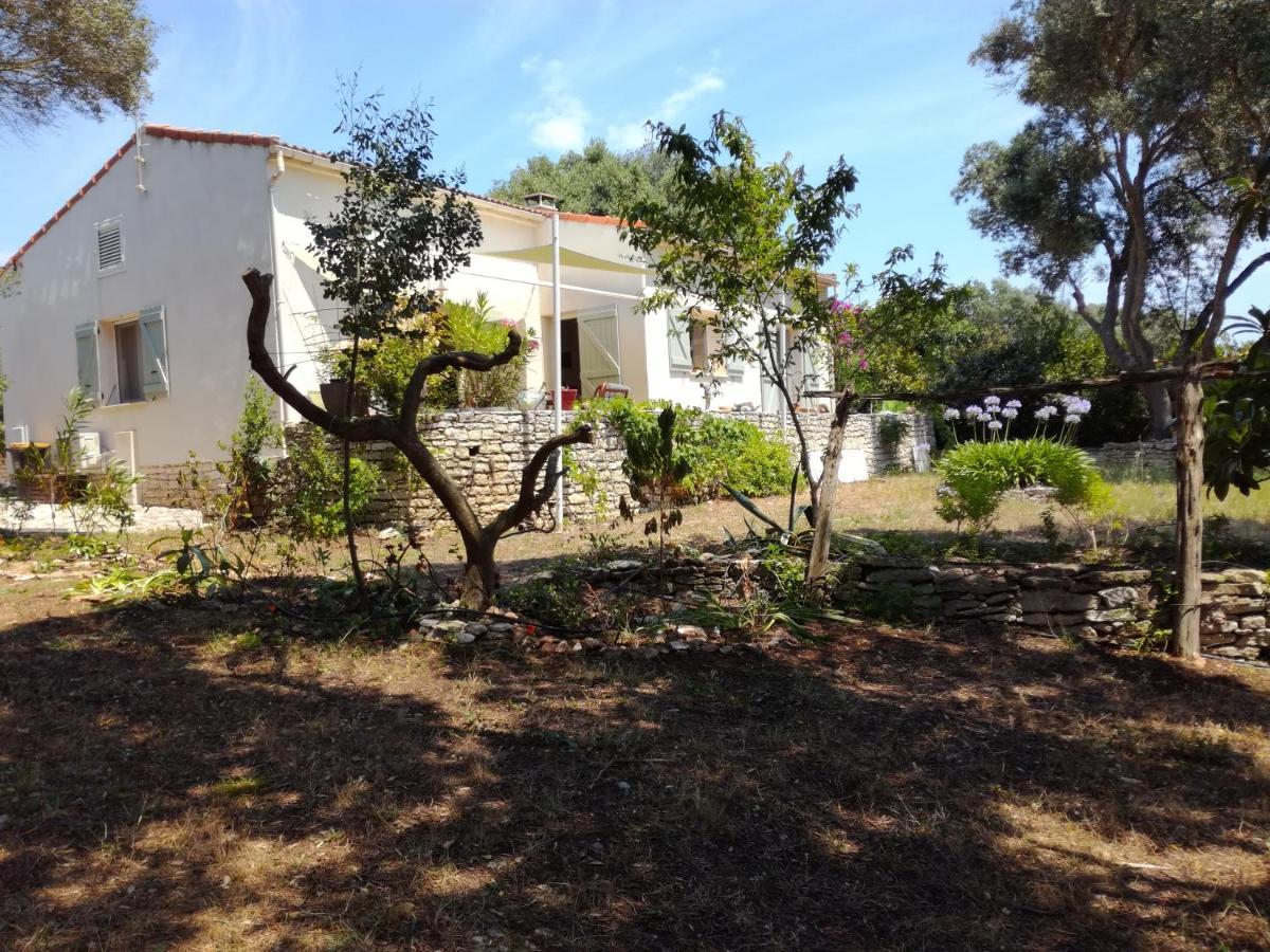 Bonifacio, Maison 90M² Sous Les Oliviers, Vue Sardaigne Bonifacio  Esterno foto