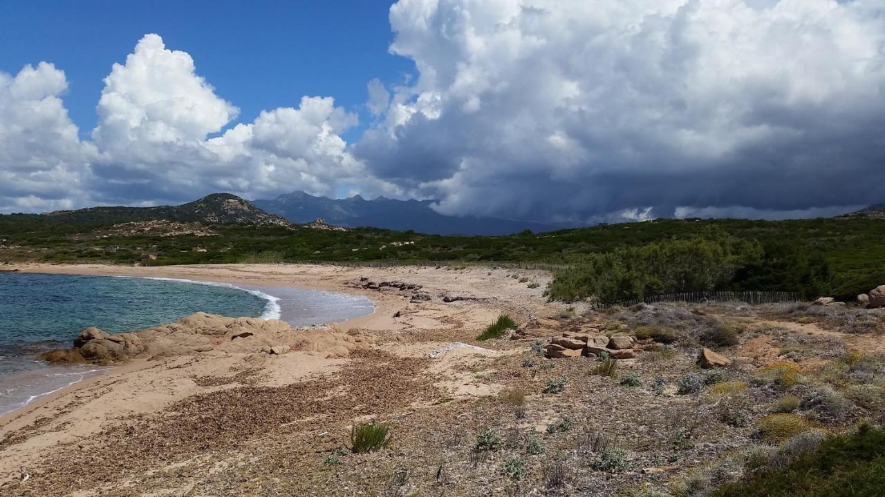 Bonifacio, Maison 90M² Sous Les Oliviers, Vue Sardaigne Bonifacio  Esterno foto