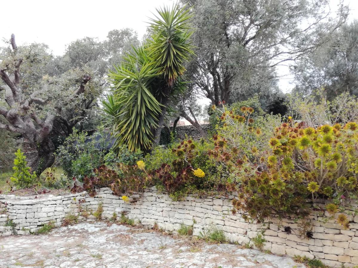 Bonifacio, Maison 90M² Sous Les Oliviers, Vue Sardaigne Bonifacio  Esterno foto
