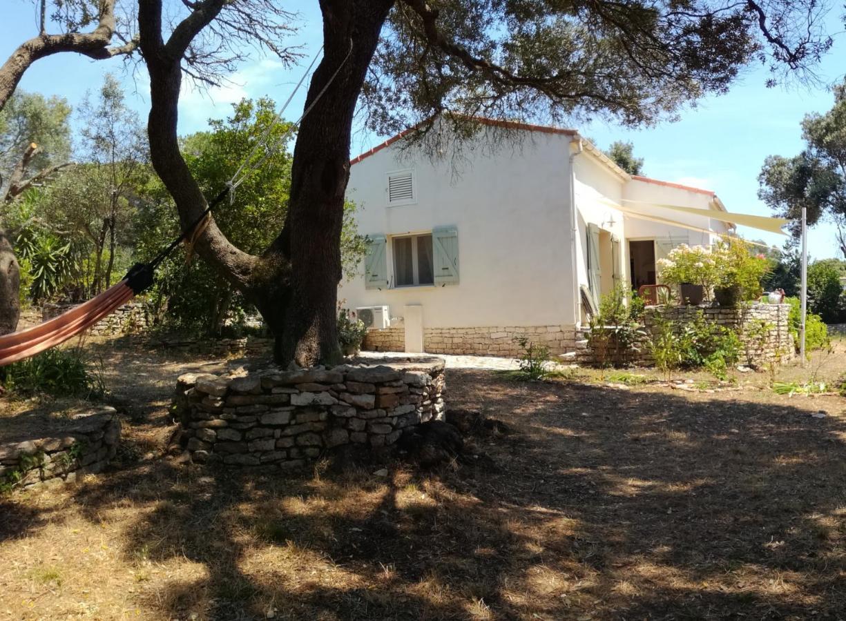 Bonifacio, Maison 90M² Sous Les Oliviers, Vue Sardaigne Bonifacio  Esterno foto