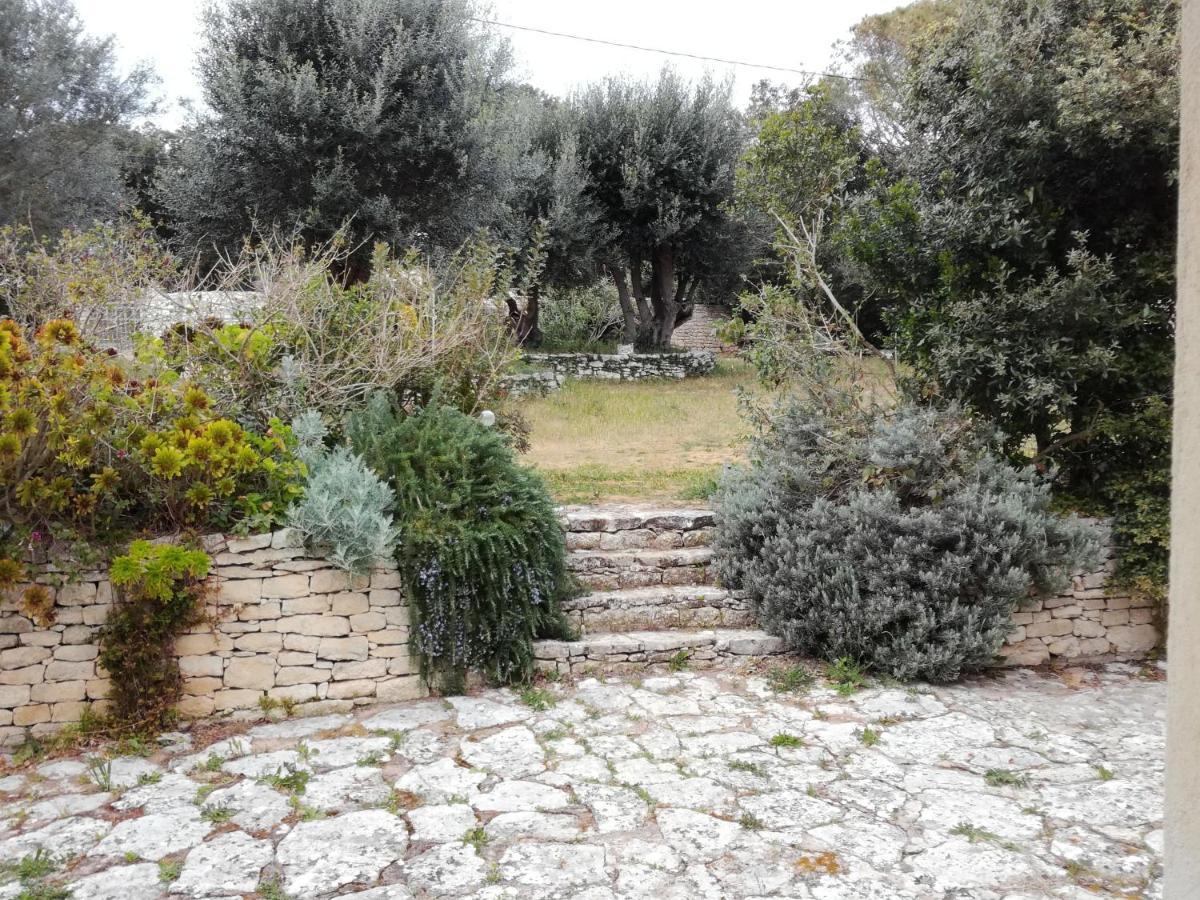 Bonifacio, Maison 90M² Sous Les Oliviers, Vue Sardaigne Bonifacio  Esterno foto